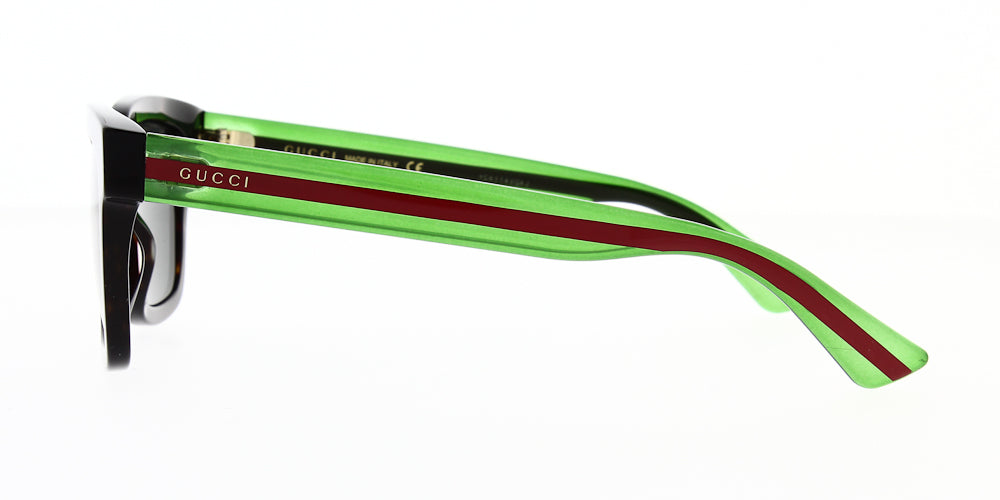 gg0001sn-003-52