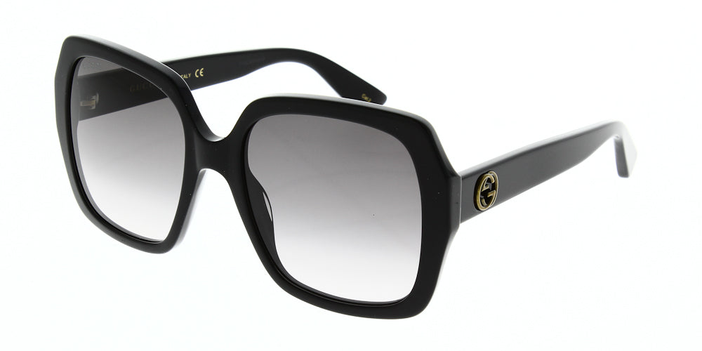 gg0096s-001-54