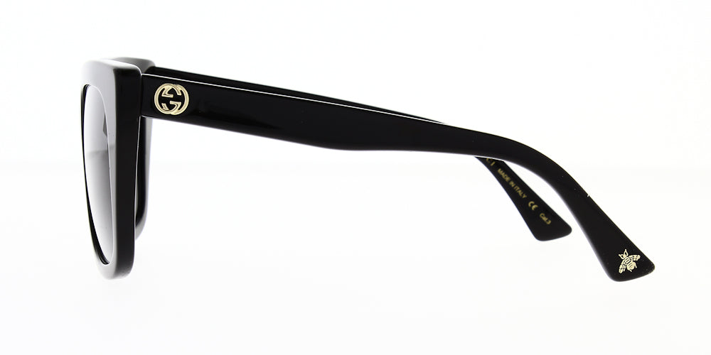 gg0163sn-001-51