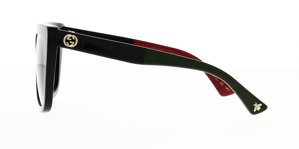 gg0163sn-003-51
