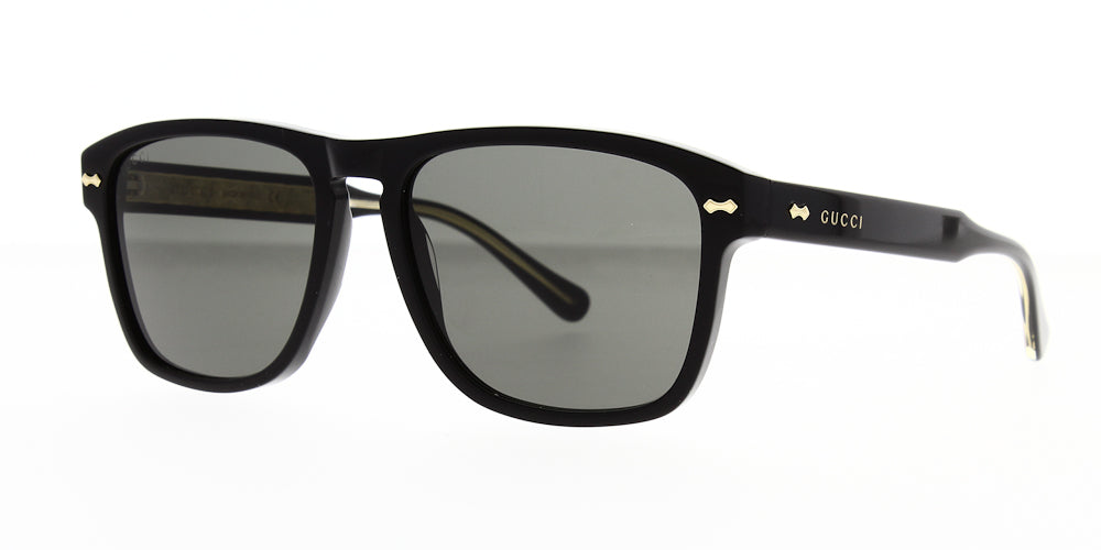 gg0911s-001-58