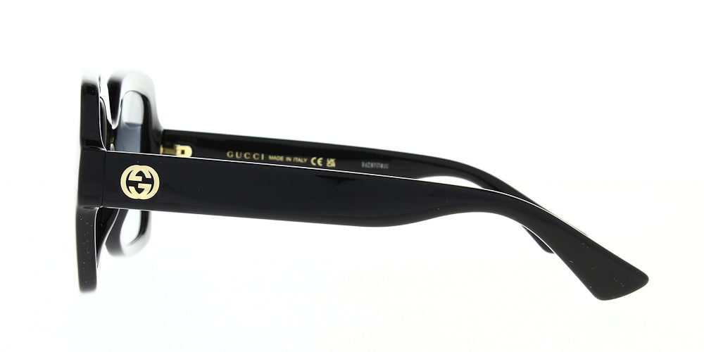 gg1337s-001-54