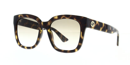 gg1338s-003-54