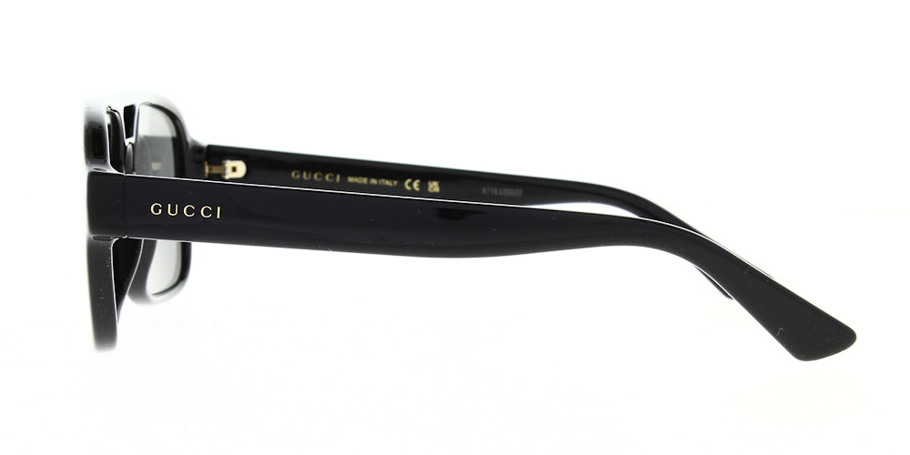 gg1342s-001-59