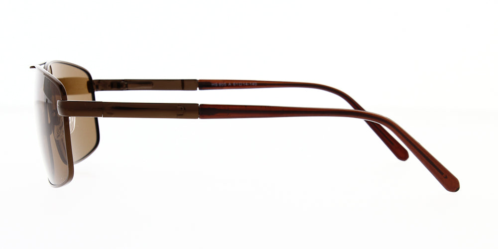 hs805-a-polarised-61