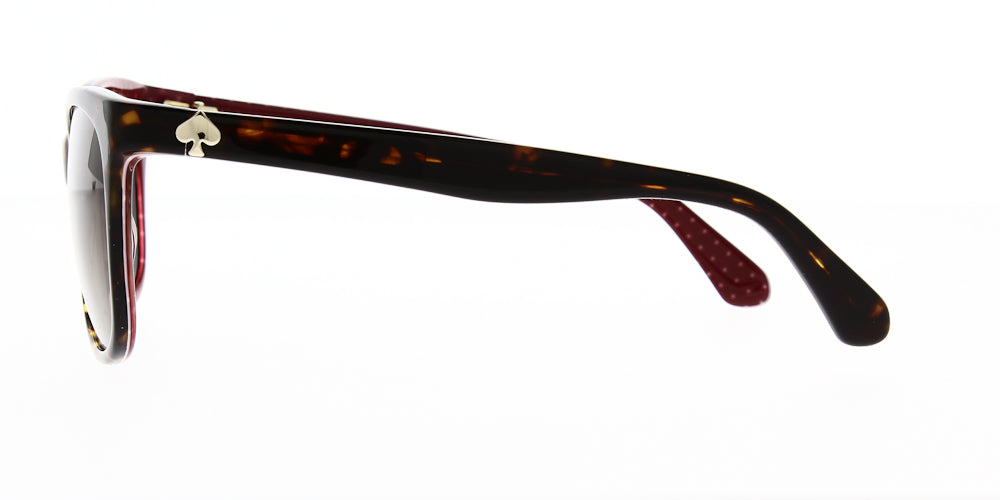 danalyn-s-086-la-polarised-54