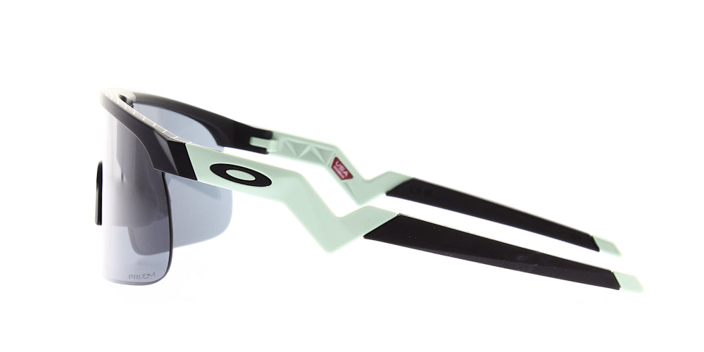 resistor-matte-black-prizm-black-oj9010323