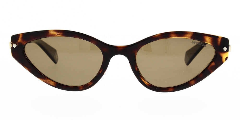 pld4074-s-086-sp-polarised-53