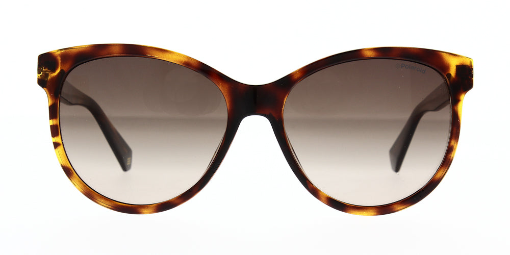 pld4079-s-x-086-la-polarised-57