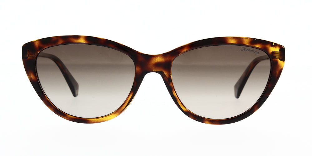 pld4080-s-086-la-polarised-55