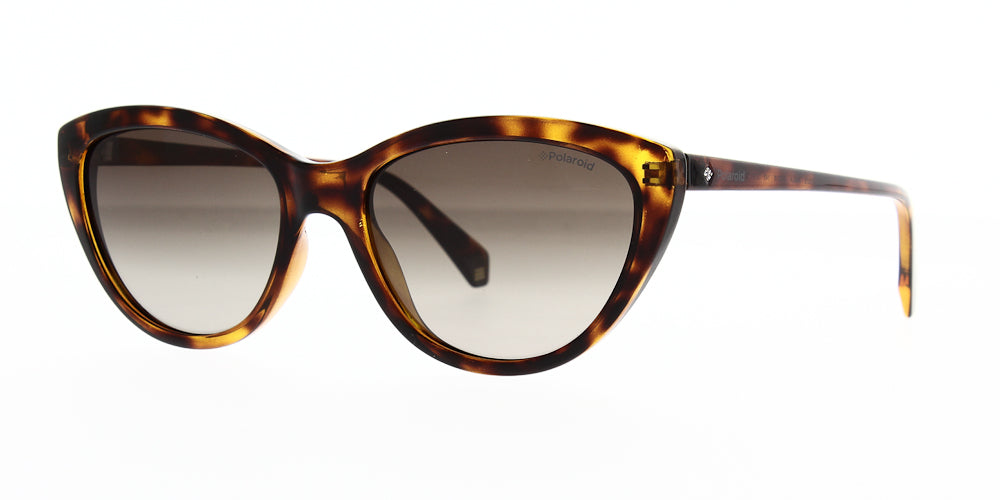 pld4080-s-086-la-polarised-55