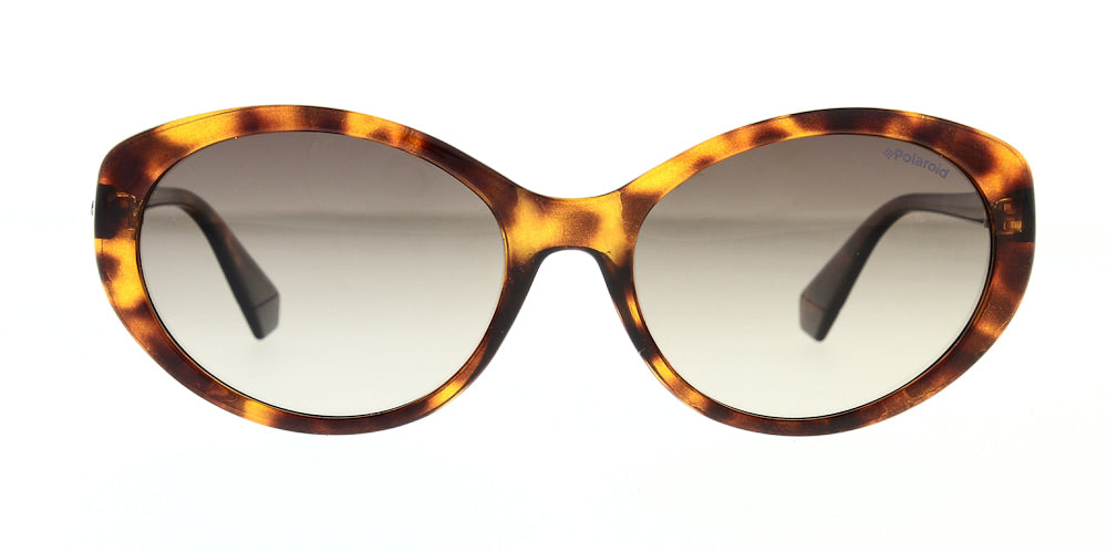 pld4087-s-086-la-polarised-56