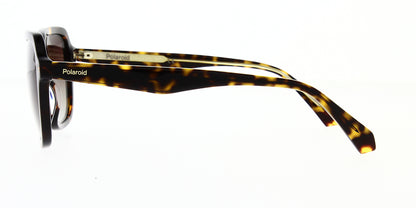 pld4095-s-x-086-la-polarised-53