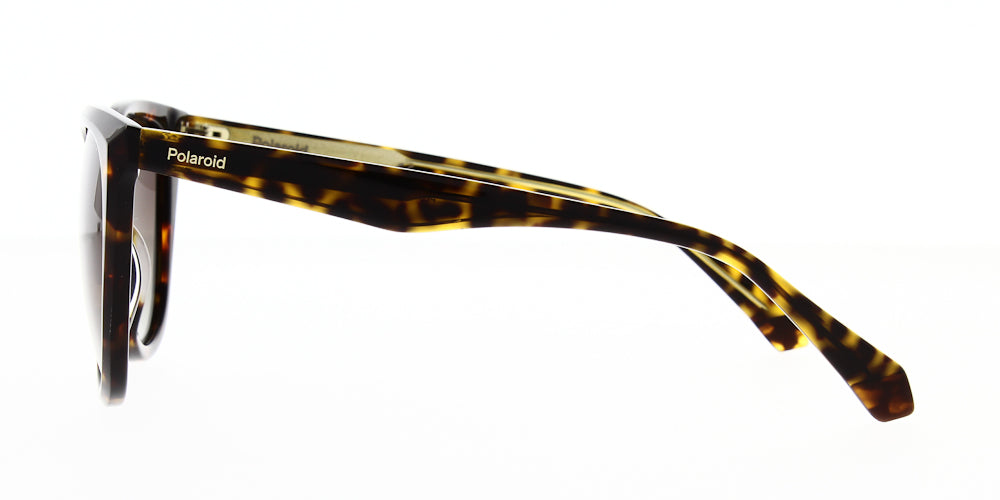 pld4096-s-x-086-la-polarised-52
