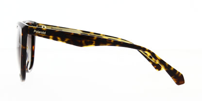 pld4096-s-x-086-la-polarised-52