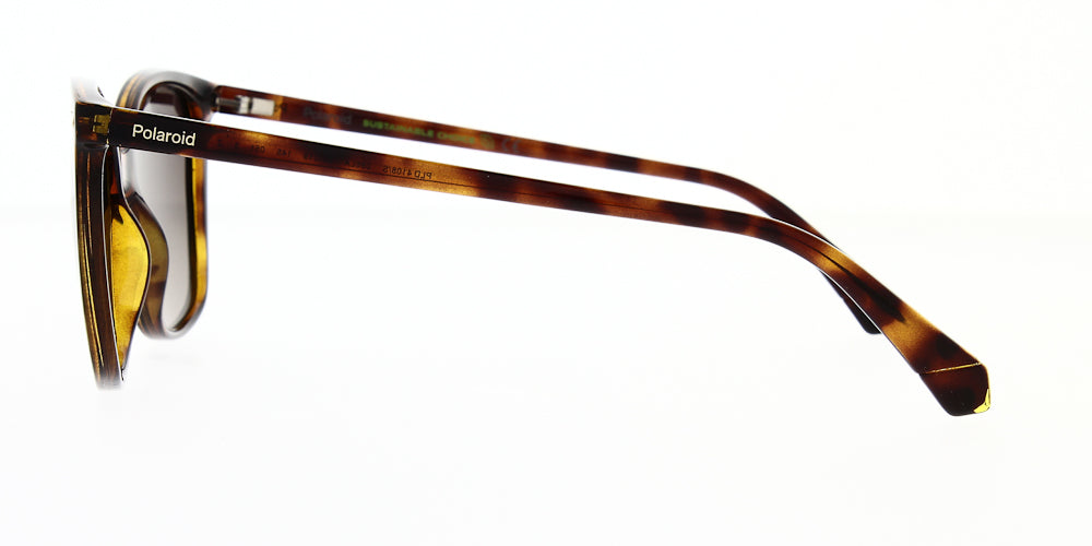 pld4108-s-086-la-polarised-55