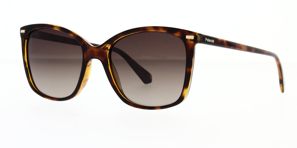 pld4108-s-086-la-polarised-55