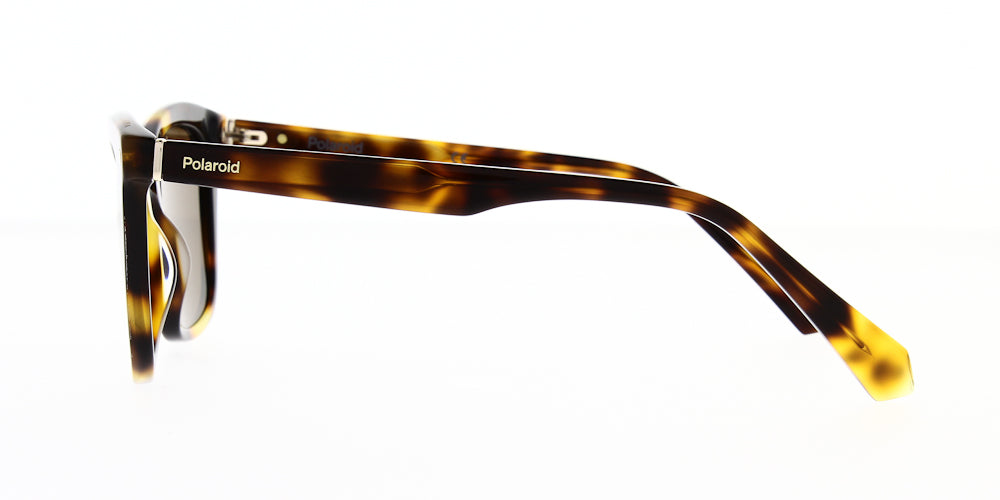 pld4110-s-x-086-he-polarised-51