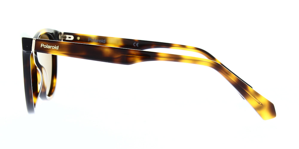 pld4111-s-x-086-he-polarised-53