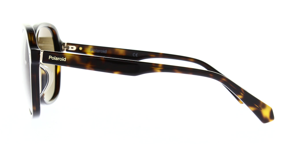 pld4112-f-s-x-086-sp-polarised-60