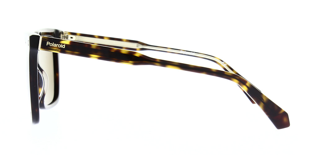 pld4115-s-x-086-sp-polarised-54