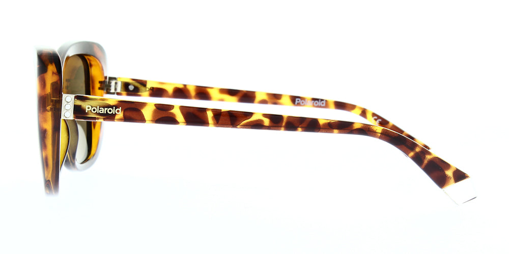 pld4132-s-x-086-sp-polarised-53