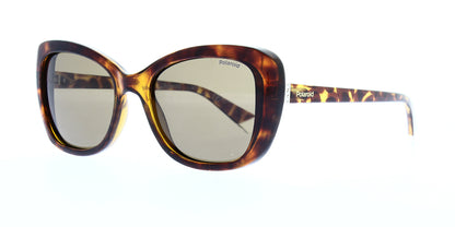 pld4132-s-x-086-sp-polarised-53