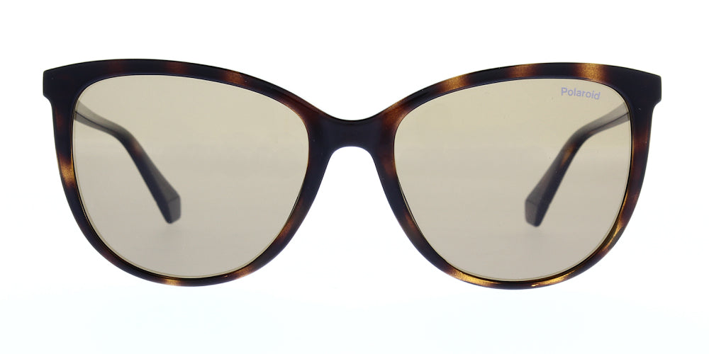 pld4138-s-086-sp-polarised-55