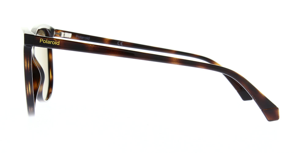 pld4138-s-086-sp-polarised-55