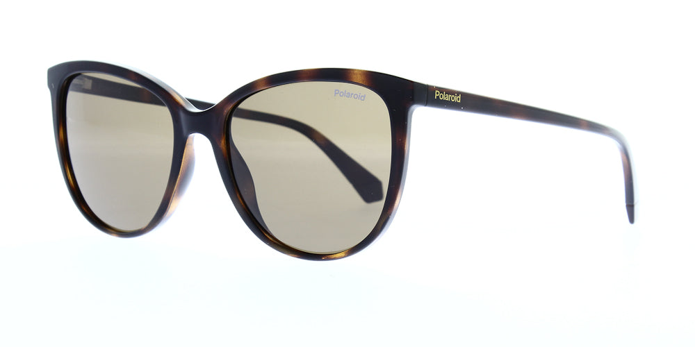 pld4138-s-086-sp-polarised-55