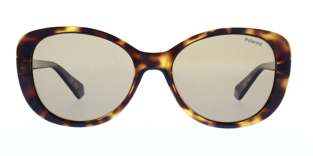 pld4154-s-x-086-sp-polarised-55