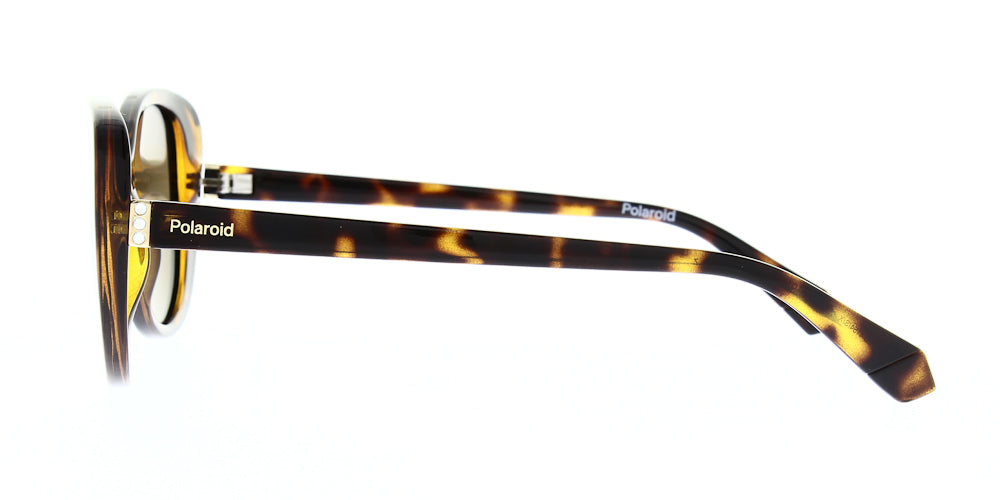 pld4154-s-x-086-sp-polarised-55