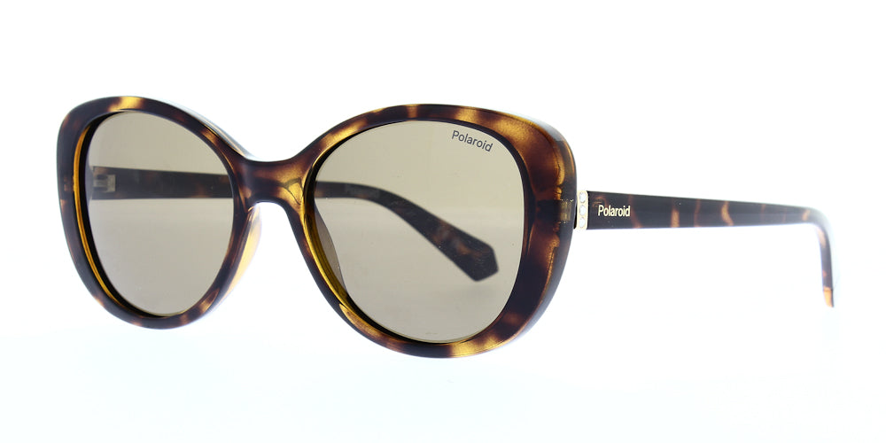 pld4154-s-x-086-sp-polarised-55