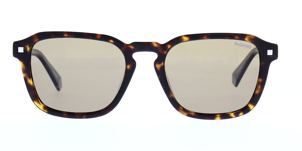 pld4156-s-x-086-sp-polarised-53