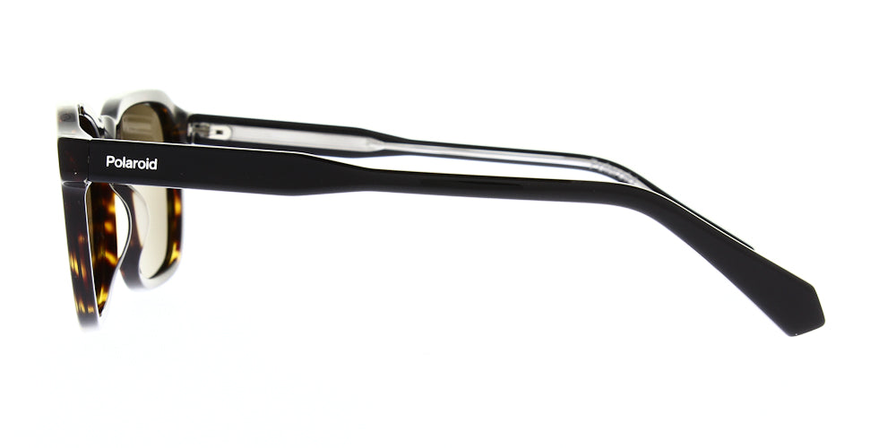 pld4156-s-x-086-sp-polarised-53