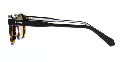 pld4156-s-x-086-sp-polarised-53