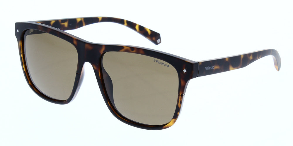 pld6041-s-086-sp-polarised-56