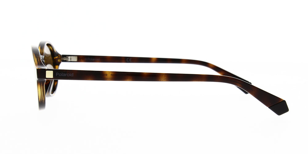 pld6090-s-086-sp-polarised-50