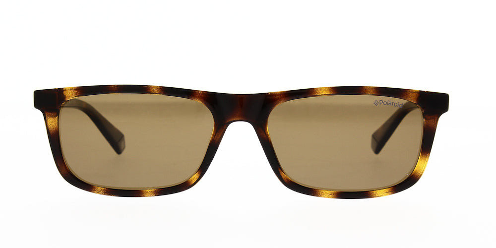 pld6091-s-086-sp-polarised-54