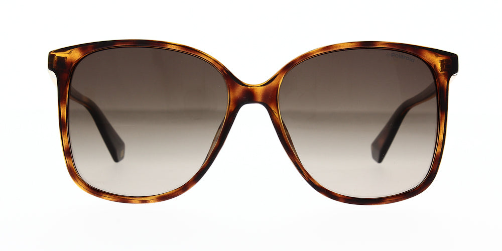 pld6096-s-086-la-polarised-57