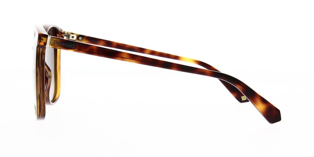 pld6096-s-086-la-polarised-57