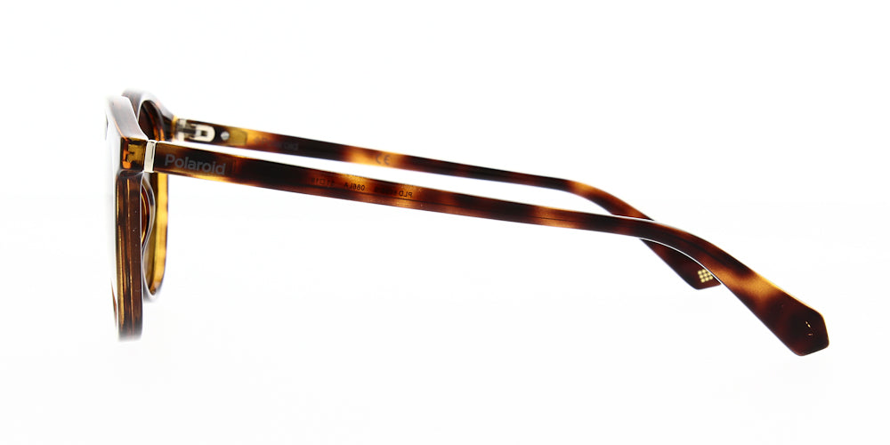 pld6098-s-086-la-polarised-51