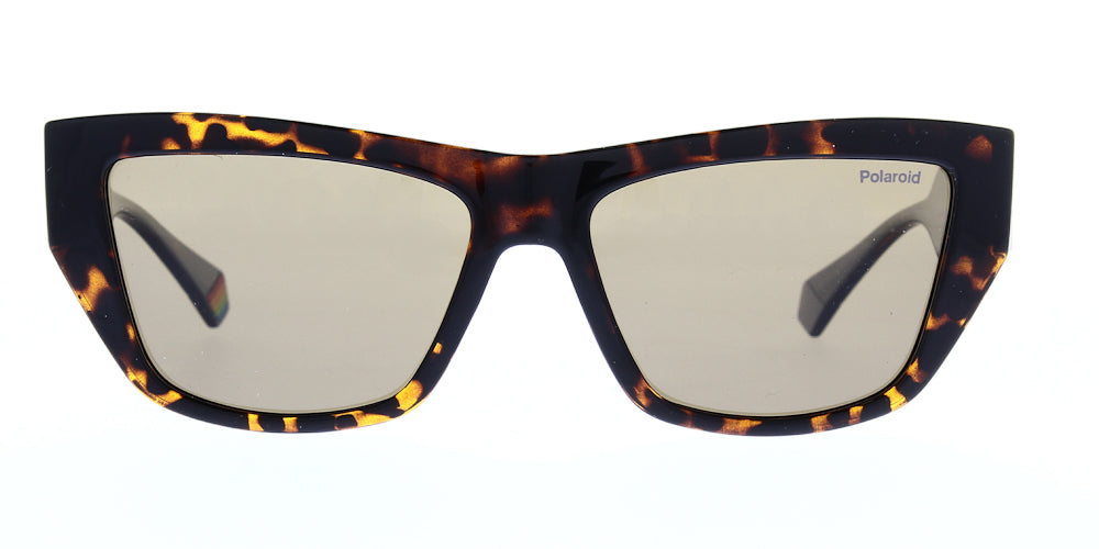 pld6210-s-x-086-sp-polarised-55