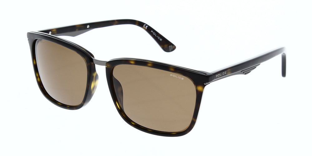 spl579-blackbird0-722p-polarised-57