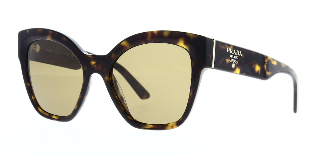 pr17zsau5y1-polarised-54