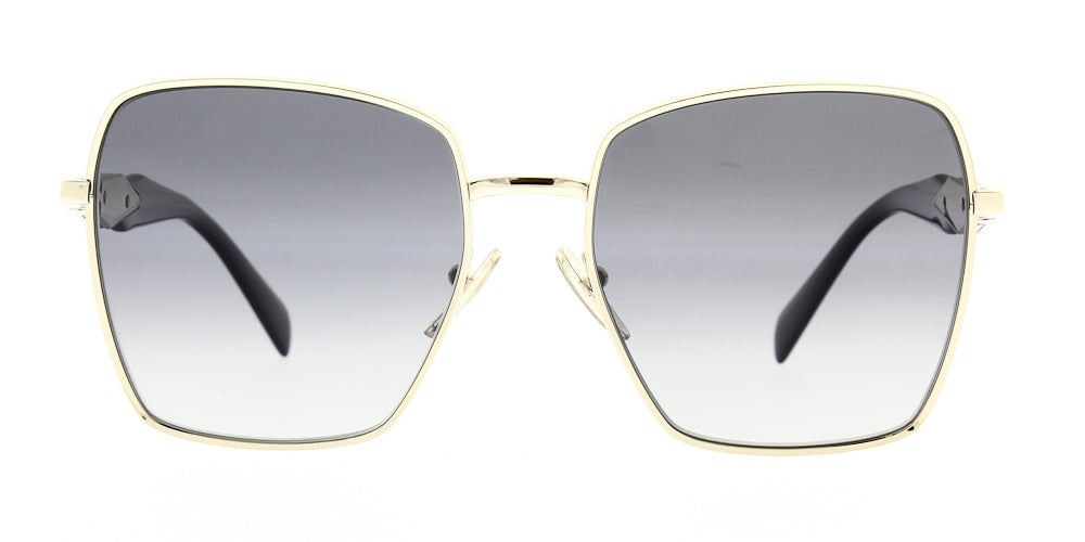 pr64zs-zvn5w1-polarised-57
