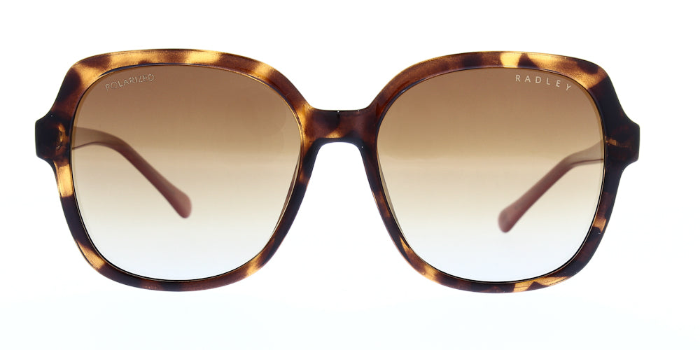 rds-650502p-polarised-57