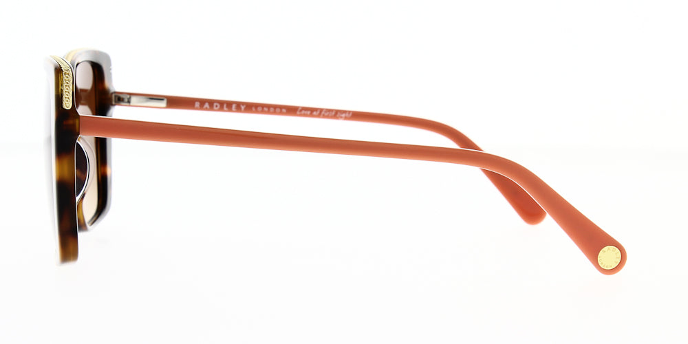 rds-caggie02-56