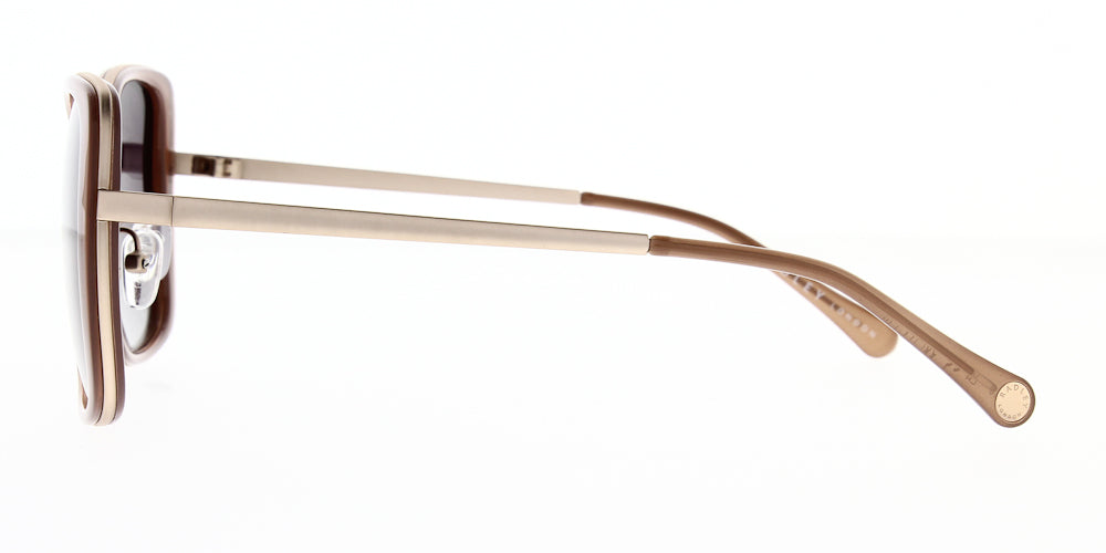 rds-elianne51p-polarised-56