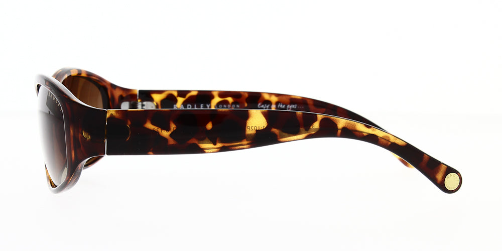 rds-krystie02p-polarised-57